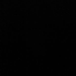 Meet your Posher, Ronald